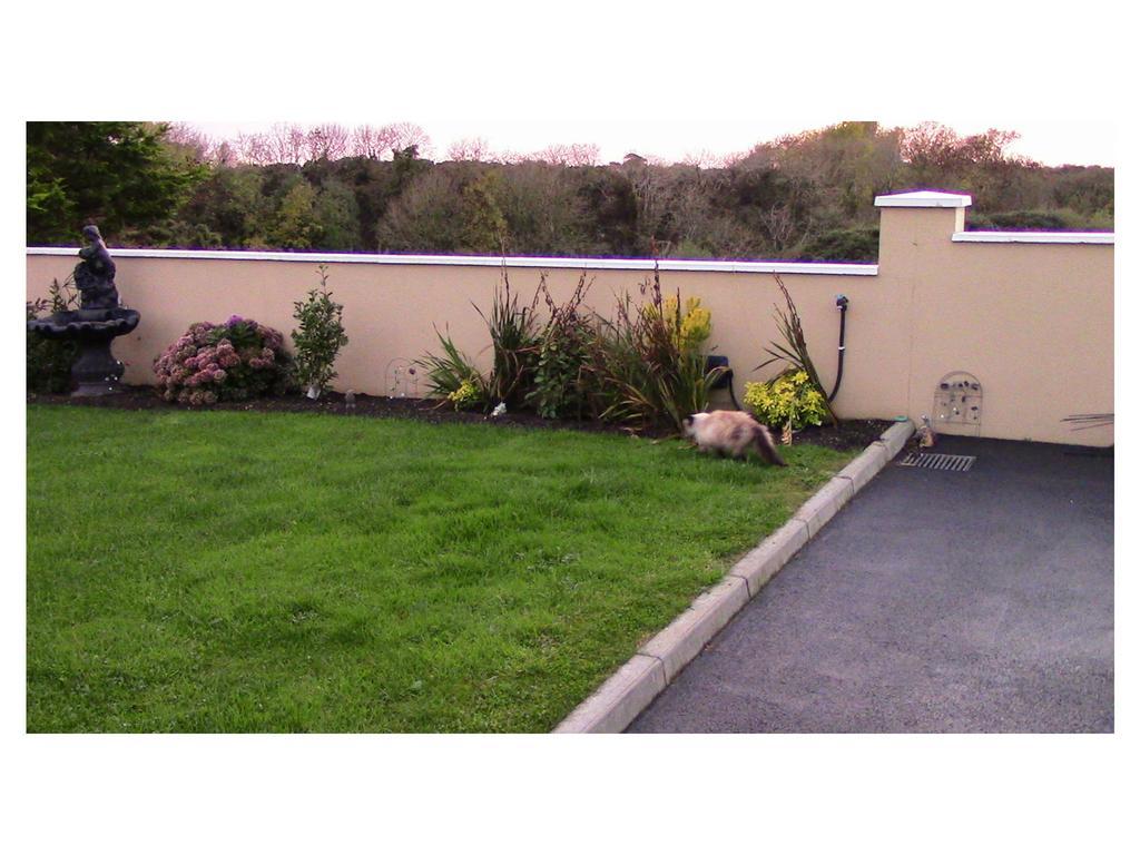 Ambrose Mews B&B Duncormick Exterior photo